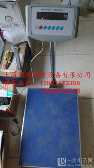 濱州地磅選購指南 金屬結構制造與價格分析