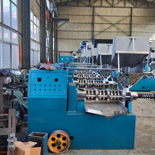 深圳榨油機(jī)廠家制造的建筑機(jī)械設(shè)備 精工品質(zhì)，引領(lǐng)行業(yè)創(chuàng)新